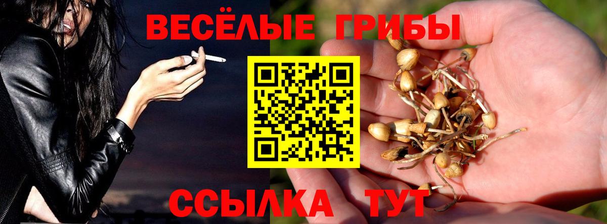 Псилоцибиновые грибы Psilocybine cubensis  Галлюциногенные грибы Cubensis  Вход с VPN  Рыбинск 
