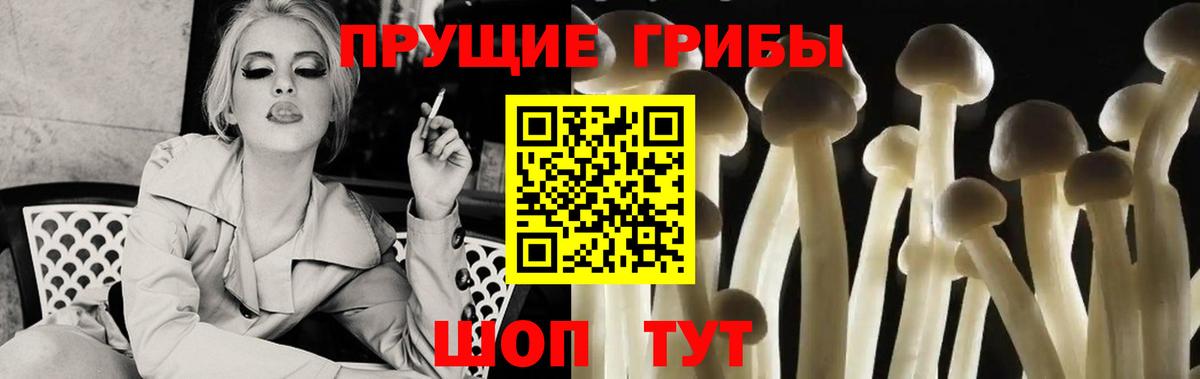 Псилоцибиновые грибы прущие грибы Рыбинск